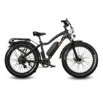 E-Wheels BAM EW-Supreme Electric Bike