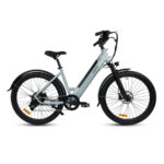 Espin 21 Flow Electric Bike