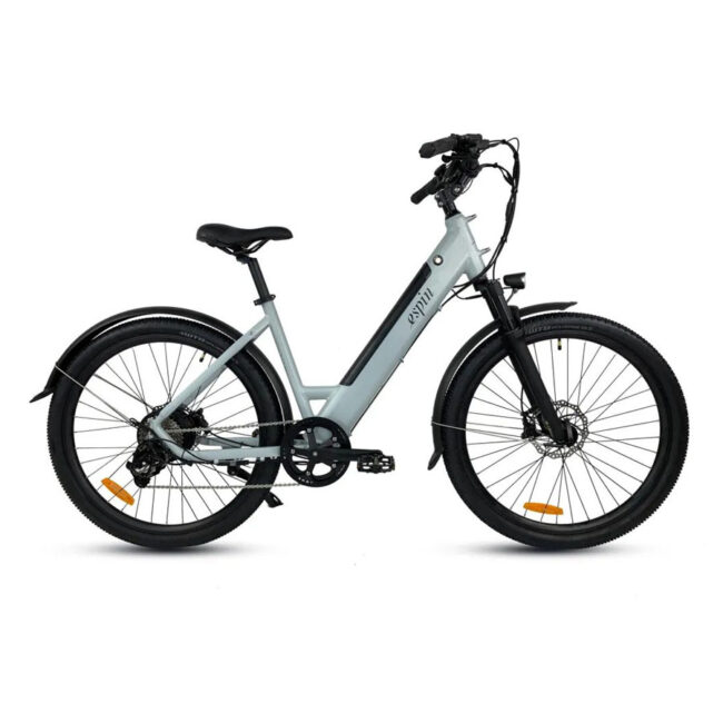 Espin 21 Flow Electric Bike