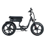 Ridel Snugger Electric Bike