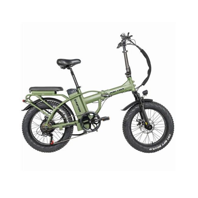 Olic Top Beach Cruiser Step 750 Electric Bike