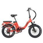 Rattan LF 750 Pro Electric Bike