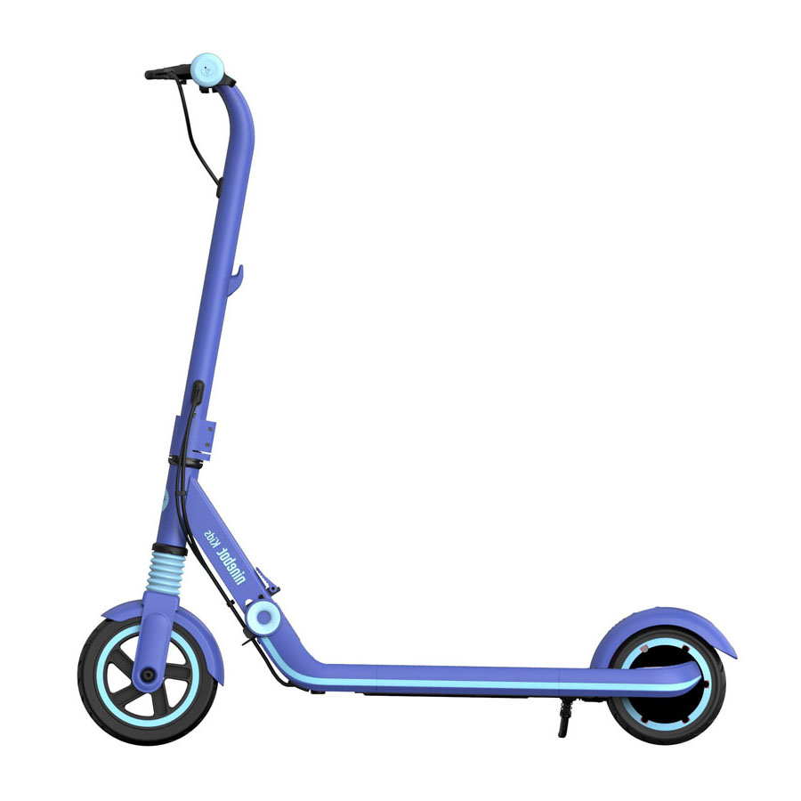 Segway Ninebot e-kickscooter Zing E8 Electric Scooter