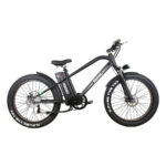 GlareWheel EB-X10 Electric Bike