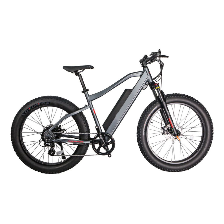 GlareWheel EB-PR Electric Bike