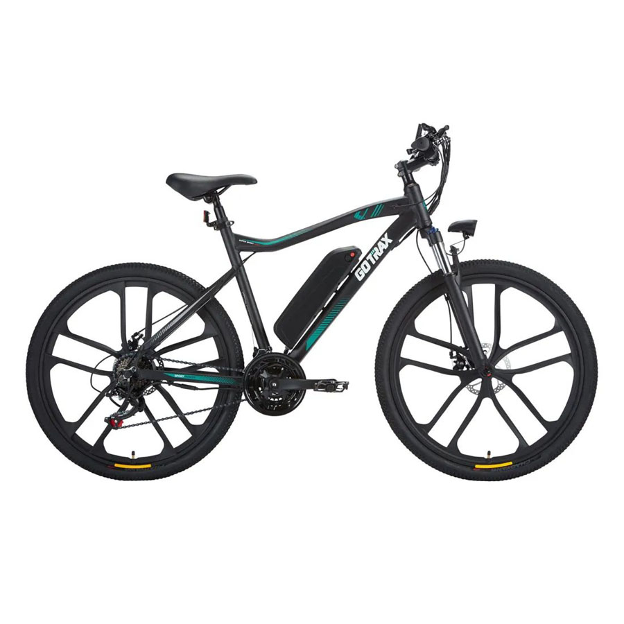 Gotrax EBE2 Electric Bike