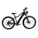 Micargi Steed Electric Bike