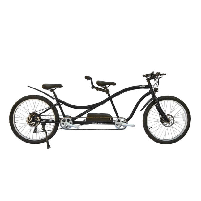 Gotrax EBE1 Electric Bike