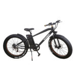 Nakto Cruiser Electric Bike