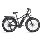 Dirwin Seeker Electric Bike