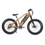 Bikonit HD750 Electric Bike