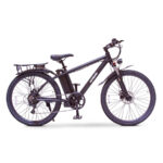 E-Wheels BAM EW-Rugged Electric Bike