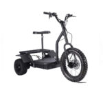 MotoTec 48v 1200w Electric Trike