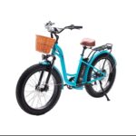 Oh Wow Cycles NRG Electric Bike