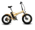 Ecotric 48V Cheetah Electric Bike