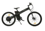 Ecotric Seagull Electric Bike