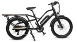 GoPower GoCargo Electric Bike