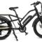 GoPower GoCargo Electric Bike