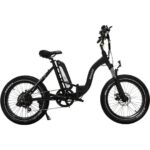 GoPower GoCruiser Electric Bike