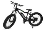 GoPower GoSpeed Electric Bike