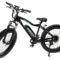 GoPower GoSpeed Electric Bike