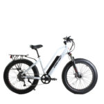 X-Treme Boulderado Electric Bike