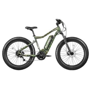 Rambo Roamer Electric Bike