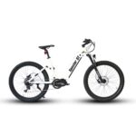 Eunorau Specter ST Electric Bike