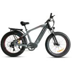 Mtnbex Explore 750 Electric Bike