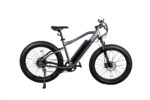 ReviBikes Predator Electric Bike