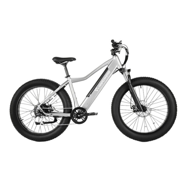 Vanpowers Manidae Electric Bike