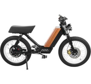 Onyx Cty2 Electric Bike