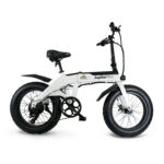 JupiterBike Defiant Electric Bike