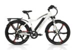 Emmo Monta Pro Electric Bike