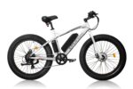 Emmo E-Wild B Electric Bike