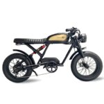 Cooler King Cooler Kub 750S Electric Bike