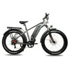 Meigi Pegasus Electric Bike