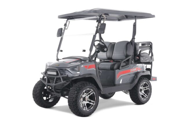 Tao Motor Champ Electric Golf Cart