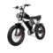 Ridstar Q20 Electric Bike