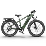 AostirMotor King Electric Bike