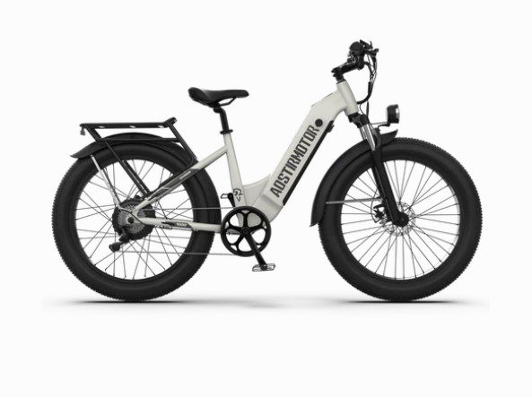 AostirMotor Queen Electric Bike