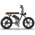 AostirMotor Storm Electric Bike