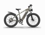 AostirMotor Hero Electric Bike