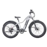 Gotrax Tundra Electric Bike