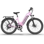 AostirMotor Princess Electric Bike