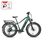 Rattan Pathfinder Electric Bike