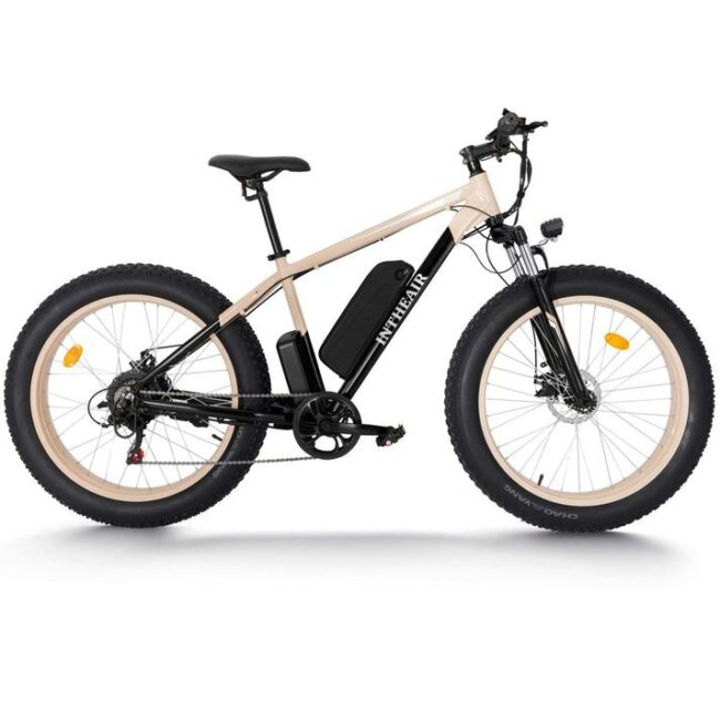 Intheair Bears Electric Bike