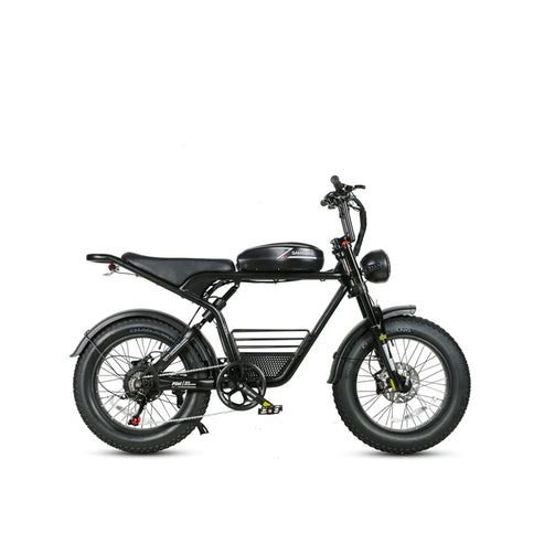 Samebike M20 Electric Bike