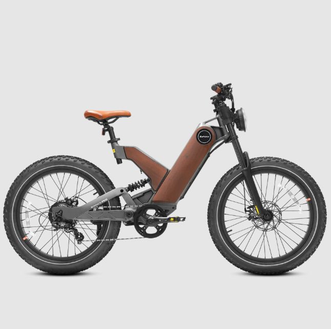 Eahora P5 Electric Bike