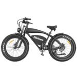 Hidoes B3 Electric Bike